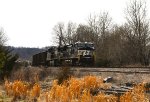 NS 4589